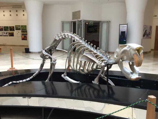 Museo de Historia Natural Húngaro